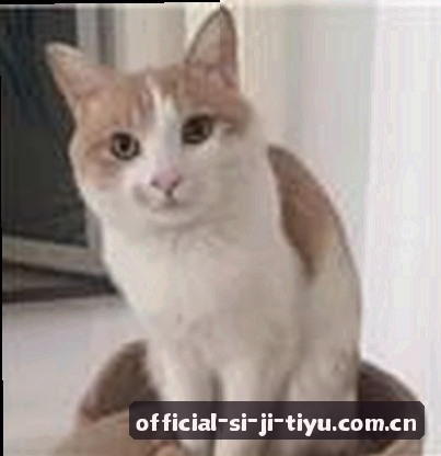 赵姐